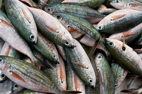 Veel vissen op markt — Stockfoto