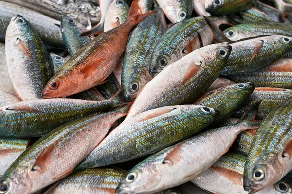 Muitos peixes no mercado — Fotografia de Stock