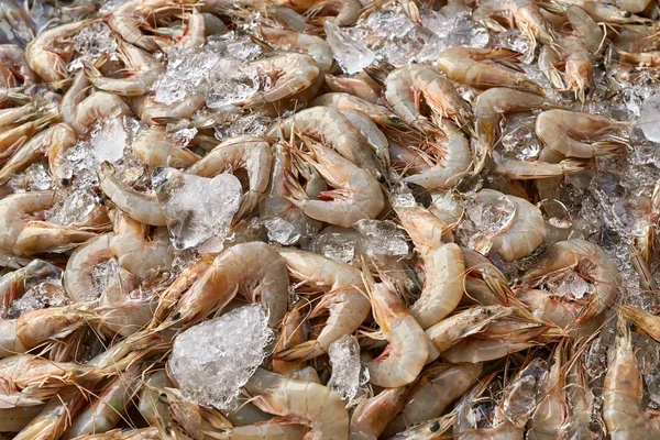 市场上的许多虾 — 图库照片