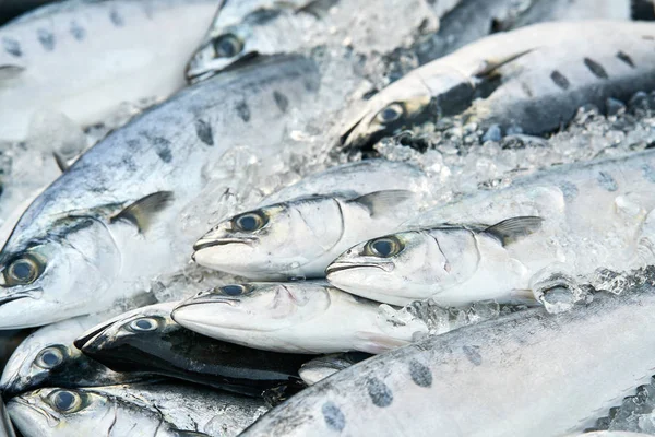 市場の新鮮な魚 — ストック写真