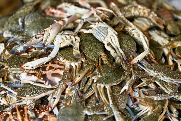 Lote de caranguejos no mercado — Fotografia de Stock