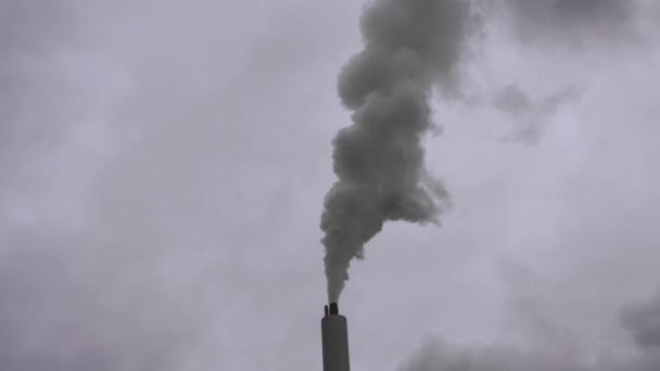 Chimenea de vapor de la central eléctrica — Vídeo de stock