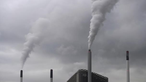 Amager Bakke afval-tot-energie plant — Stockvideo