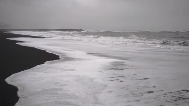 Isländska landskapet svart Beach — Stockvideo