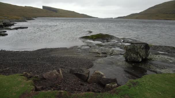 Paesaggio delle Isole Faroe — Video Stock
