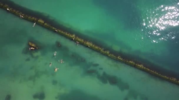 Marina landskap med vågbrytaren — Stockvideo