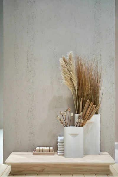 Verlichte interieur met lichte muren en planten in vazen — Stockfoto