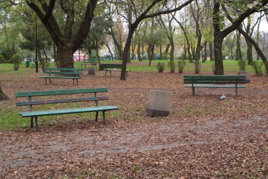 turuncu park arka plan manzara