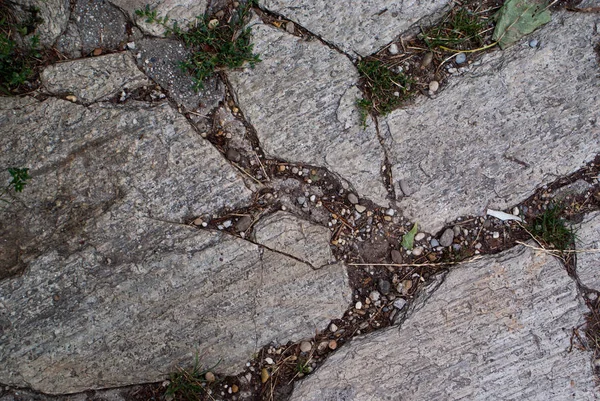 흙 색된 셰 일 돌의 배경 텍스처 — 스톡 사진