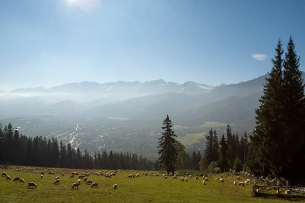 Paisaje de montaña, Tatry, Polonia —  Fotos de Stock