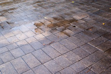 gri ve ıslak kaldırım döşeme