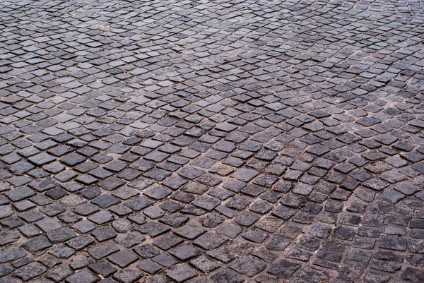 Lastre di pavimentazione grigie e bagnate — Foto Stock