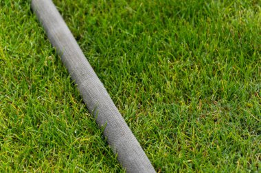 ıslak çimenlerin üzerinde hortum