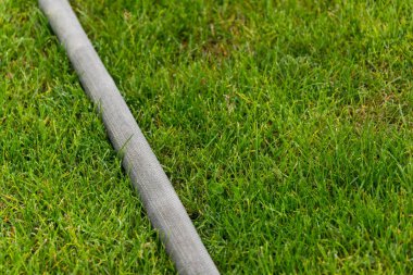 ıslak çimenlerin üzerinde hortum