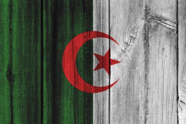 Cezayir bayrağı arka plan için ahşap duvar boyalı