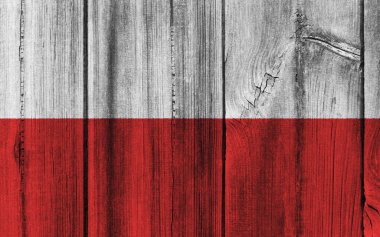 Arka plan için ahşap duvar boyalı Polonya bayrağı