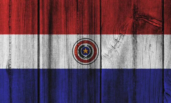 Bandera de la República del Paraguay pintada sobre pared de madera para fondo —  Fotos de Stock