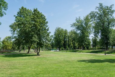 Yaz aylarında büyük ağaçlar ile yeşil park