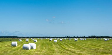 Polonya tarım arazileri üzerinde paketlenmiş saman balya peyzaj