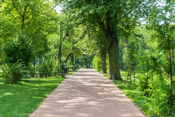 Stoned foot path in the middle of a lush green park — Stock Photo, Image