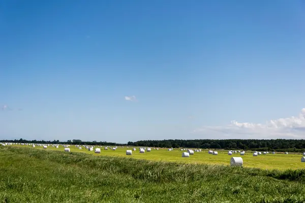 ポーランドの農地にパックされたわら俵の風景 — ストック写真