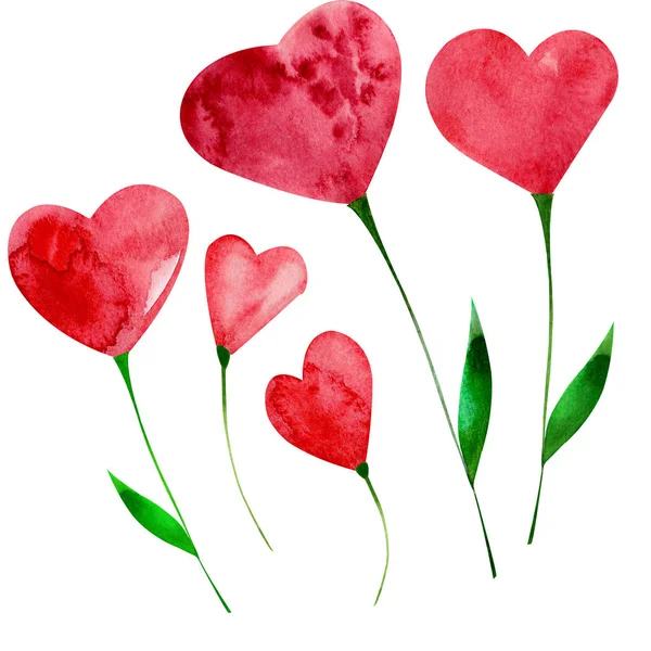 Набор цветов любви сердце окрашены акварелью красный изолирован на белом — стоковое фото