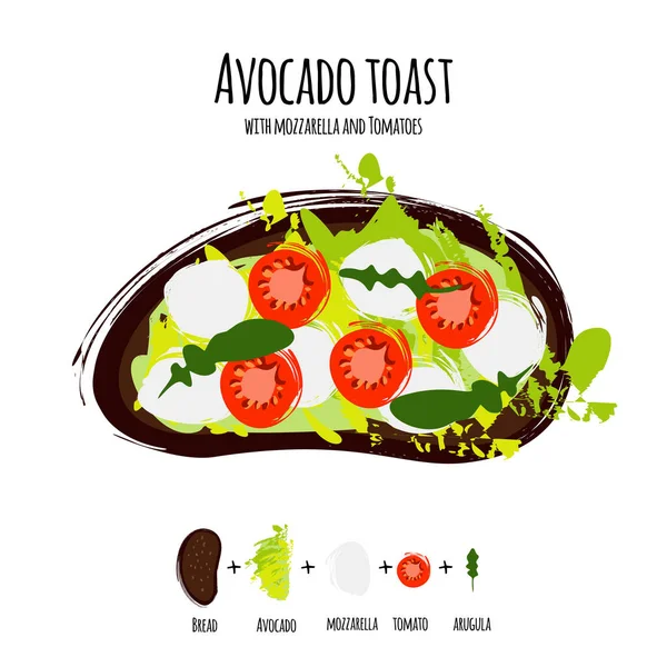 Vektorové ilustrační avokádové hummusové toasty s rajčaty, mozzarella — Stockový vektor