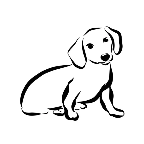 Ilustración vectorial un perro aislado en blanco — Vector de stock