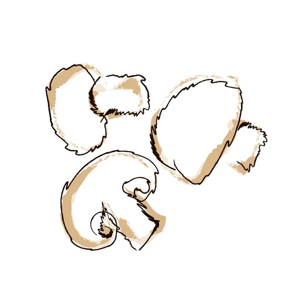Ilustração vetorial um cogumelo champignon mão desenhar estilo isolado no branco — Vetor de Stock