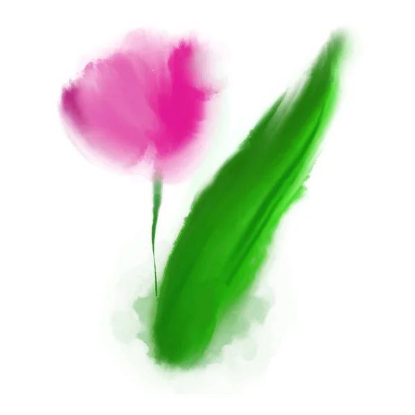 Vector illustratie roze tulp in aquarelstijl — Stockvector