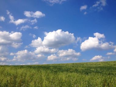 Yaz aylarında yeşil alanlar