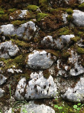 Yeşil yosun dağlarda gri buzlu