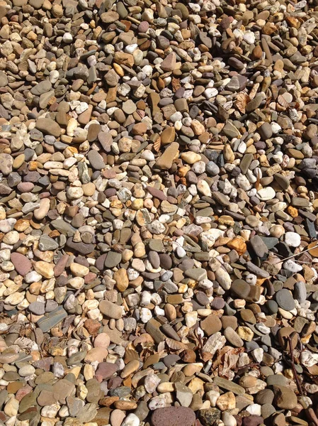Kiezels op het strand van brighton, Engeland — Stockfoto