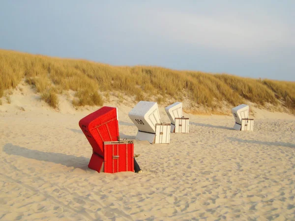 Røde og hvite strandstoler på nordkysten – stockfoto