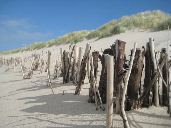 Driftwood na praia — Fotografia de Stock