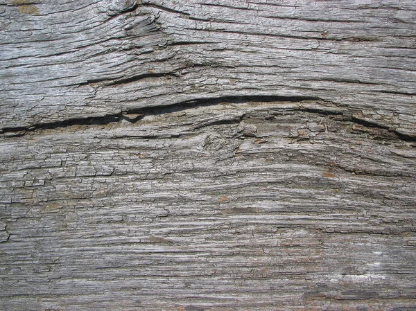 Régi szürke driftwood Igazgatóság — Stock Fotó