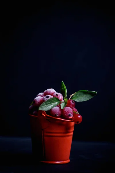 Gefrorene rote Johannisbeere mit einem Zweig Minze in einem dekorativen roten Bock — Stockfoto