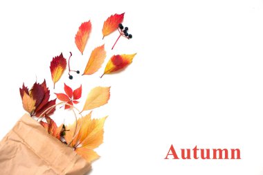 Renkli sonbahar yaprakları ve beyaz arka planda hediye kutusu olan düz bir çerçeve.