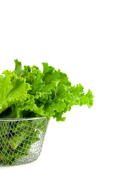 Hoja de ensalada verde fresca aislada sobre un fondo blanco. Plan nutricional —  Fotos de Stock