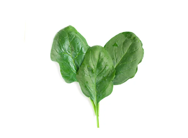 Blad van groene verse spinazie geïsoleerd op een witte achtergrond. Voedingsplan — Stockfoto