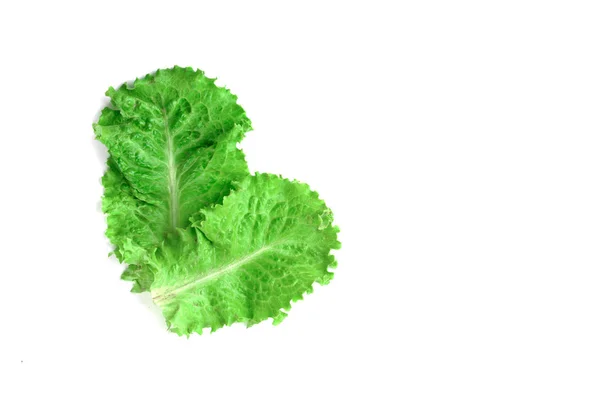 Leaf of green fresh lettuce isolated on a white background. Nutrition plan — Stock Photo, Image