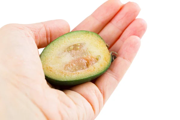 Juicy and ripe feijoa isolated on a white background. Healthy autumn fruit. — Stock Photo, Image