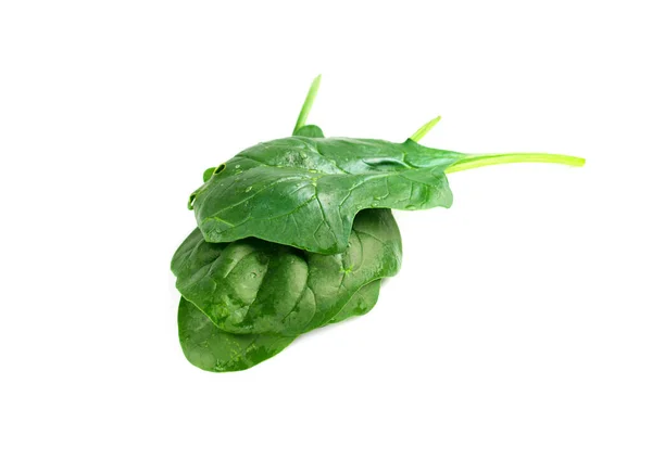 Hoja de espinaca verde fresca aislada sobre un fondo blanco. Plan nutricional —  Fotos de Stock