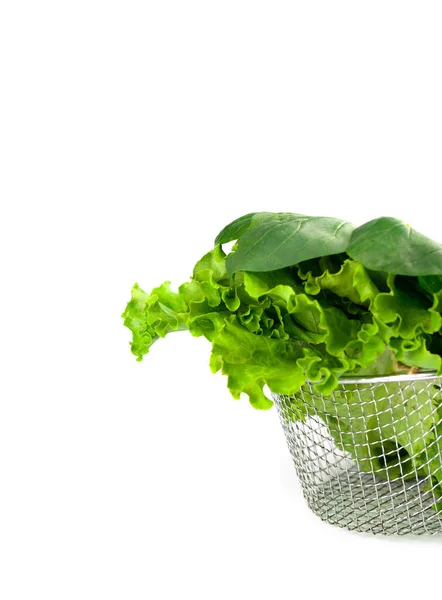 Hoja de lechuga fresca verde aislada sobre un fondo blanco. Plan nutricional —  Fotos de Stock