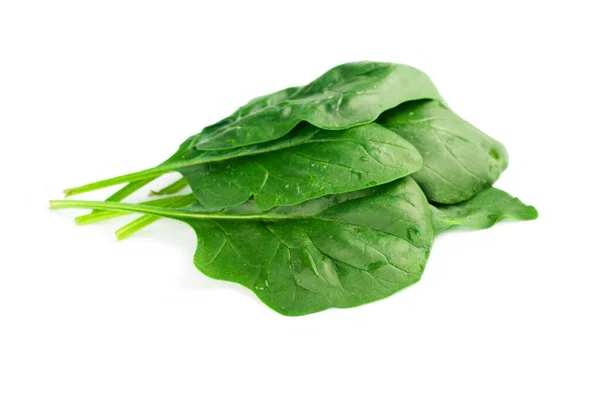 Hoja de espinaca verde fresca aislada sobre un fondo blanco. Plan de alimentación saludable.Plan de nutrición —  Fotos de Stock