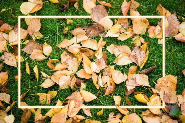 Hojas de arce rojo y amarillo después de la lluvia sobre piedras fondo texturizado con gotas, espacio de copia. Concepto de otoño —  Fotos de Stock