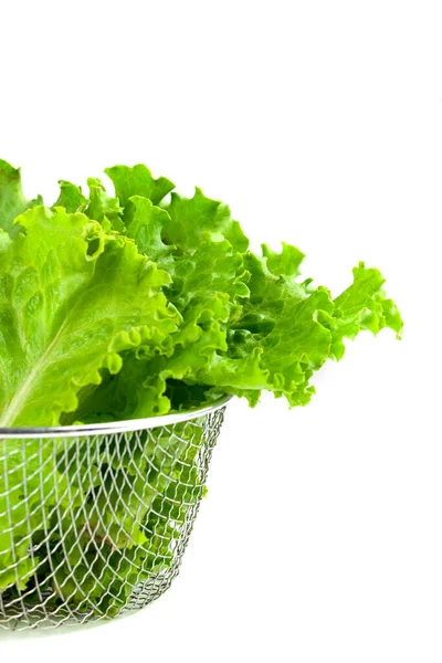 Hoja de lechuga fresca verde aislada sobre un fondo blanco. Plan nutricional —  Fotos de Stock