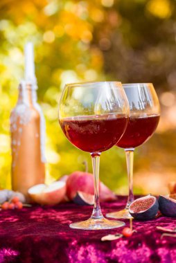 Parkta güzel bir sonbahar pikniği.