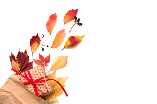 Marco plano con hojas de otoño coloridas y caja de regalo sobre un fondo blanco —  Fotos de Stock