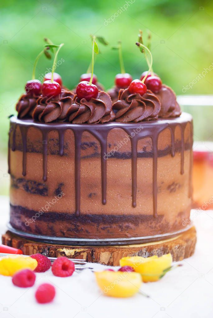 Summer picnic on nature, with a delicious chocolate cake, compot